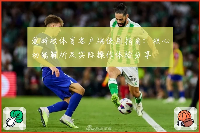 爱游戏体育客户端使用指南：核心功能解析及实际操作体验分享
