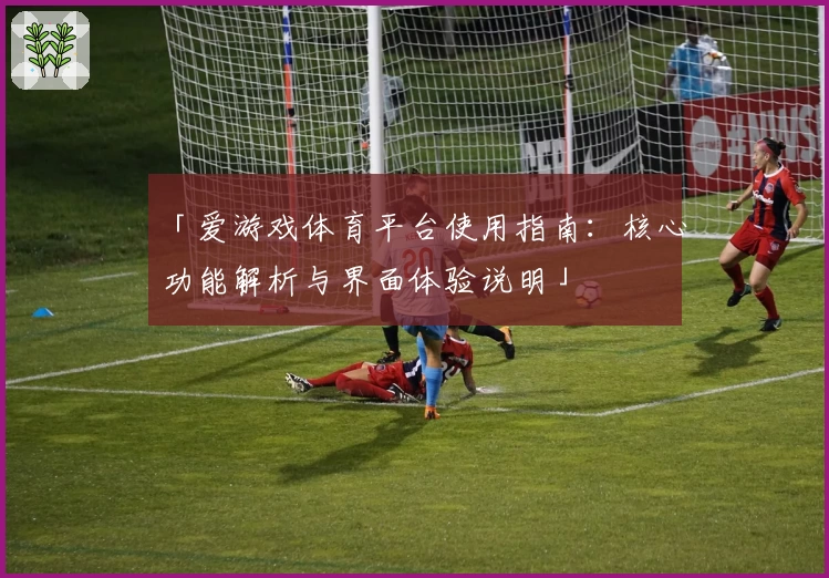 「爱游戏体育平台使用指南：核心功能解析与界面体验说明」